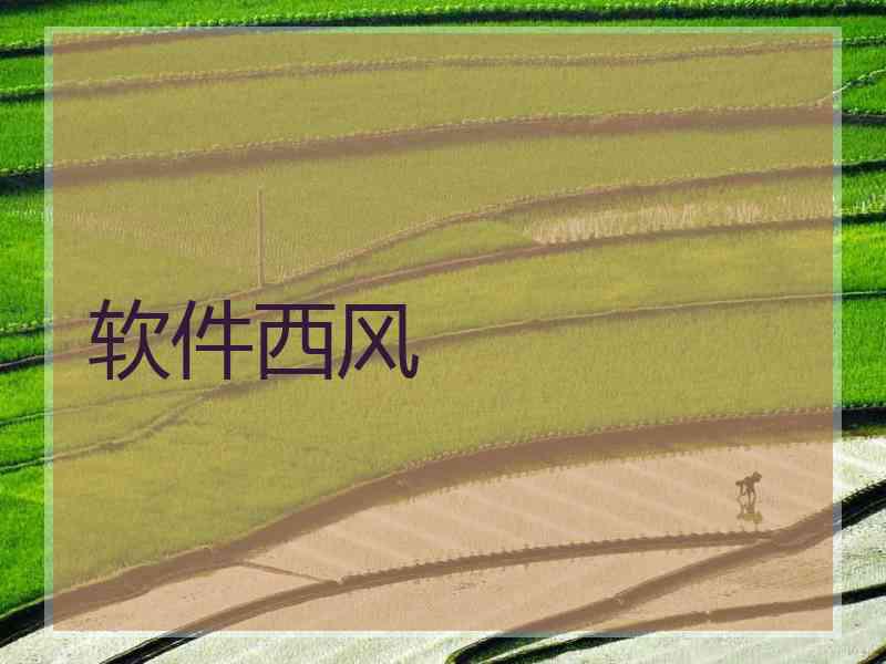 软件西风