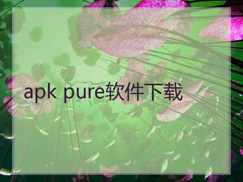 apk pure软件下载