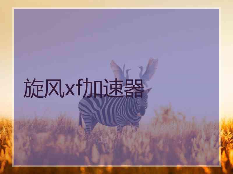 旋风xf加速器