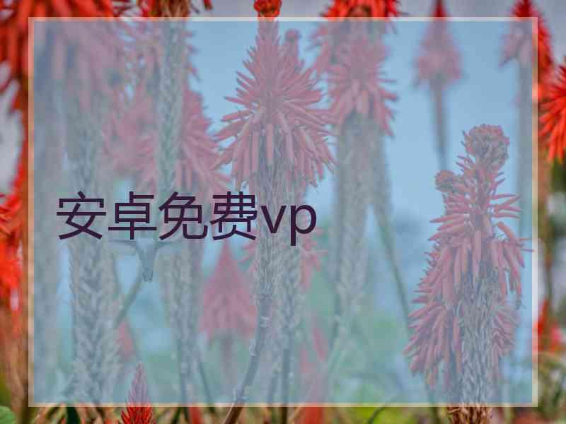 安卓免费vp