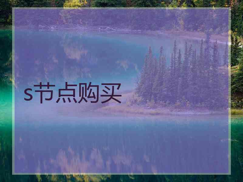 s节点购买
