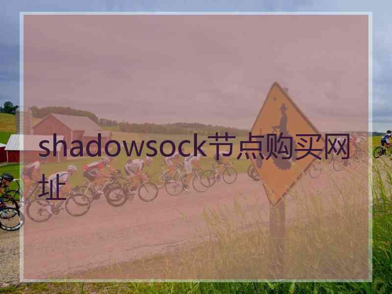 shadowsock节点购买网址