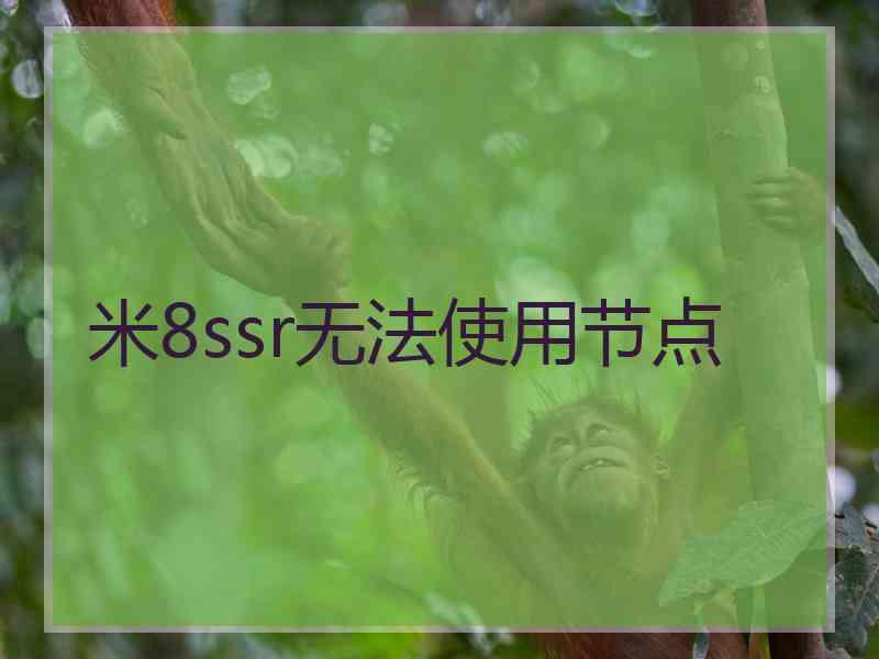 米8ssr无法使用节点