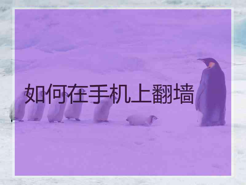 如何在手机上翻墙