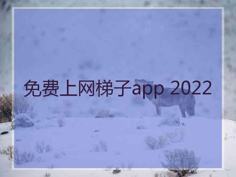 免费上网梯子app 2022