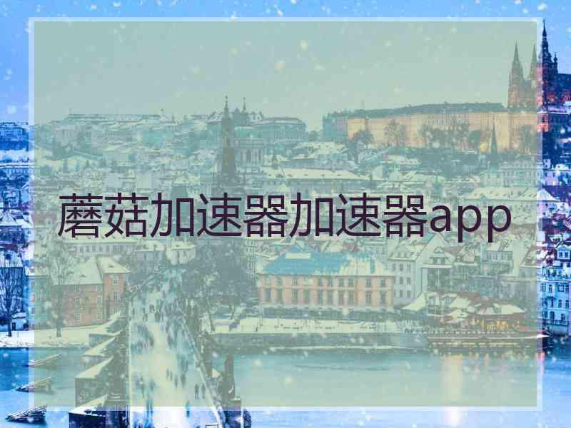 蘑菇加速器加速器app