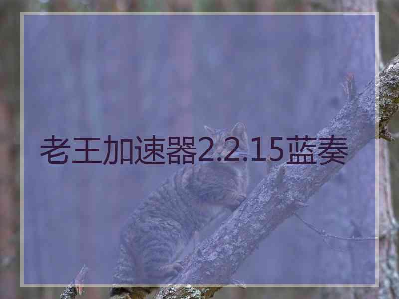 老王加速器2.2.15蓝奏