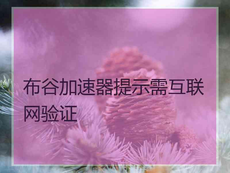 布谷加速器提示需互联网验证