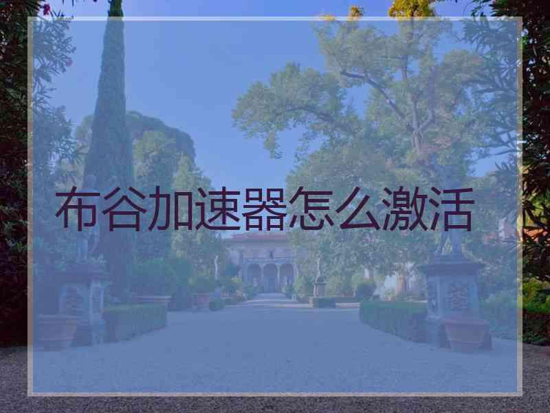 布谷加速器怎么激活