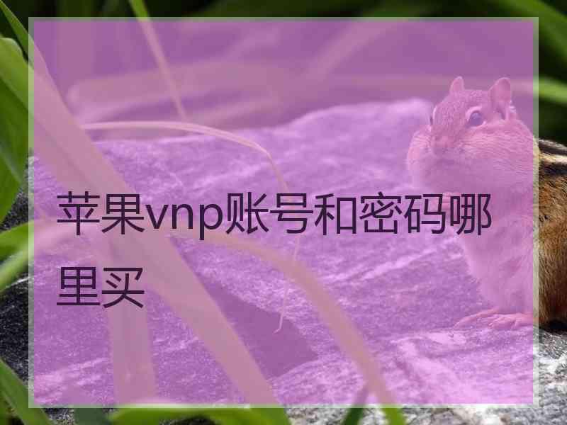 苹果vnp账号和密码哪里买