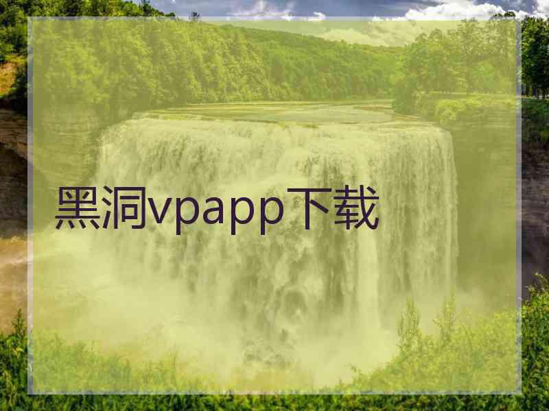 黑洞vpapp下载