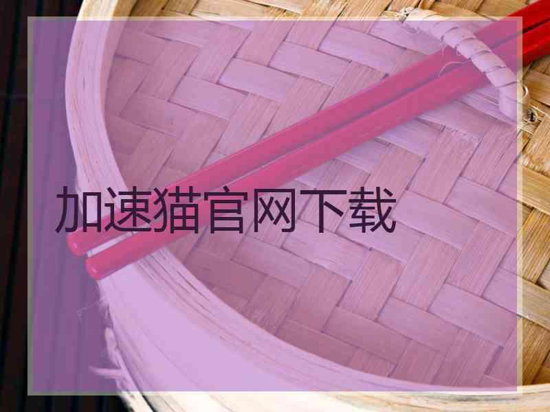 加速猫官网下载