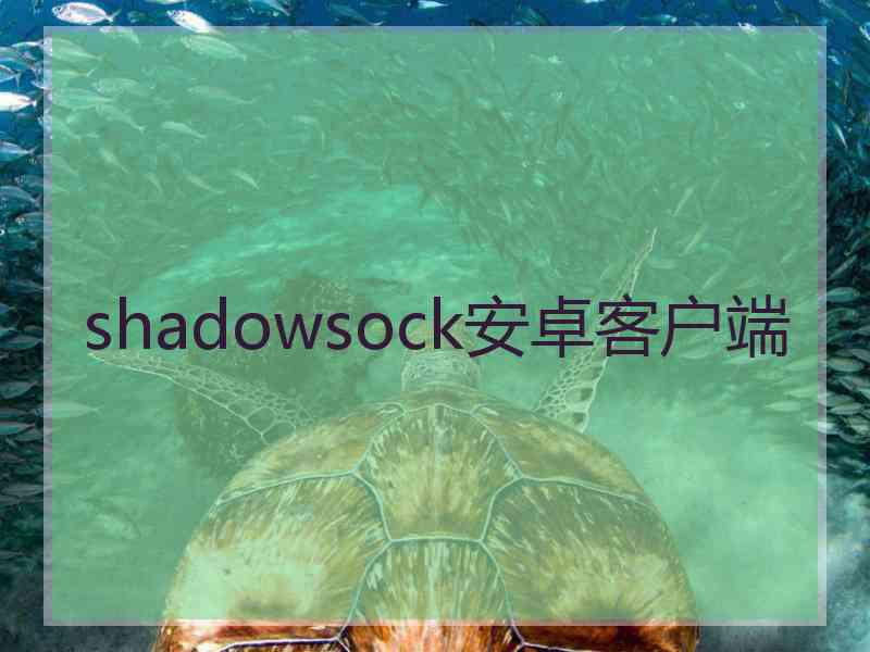 shadowsock安卓客户端