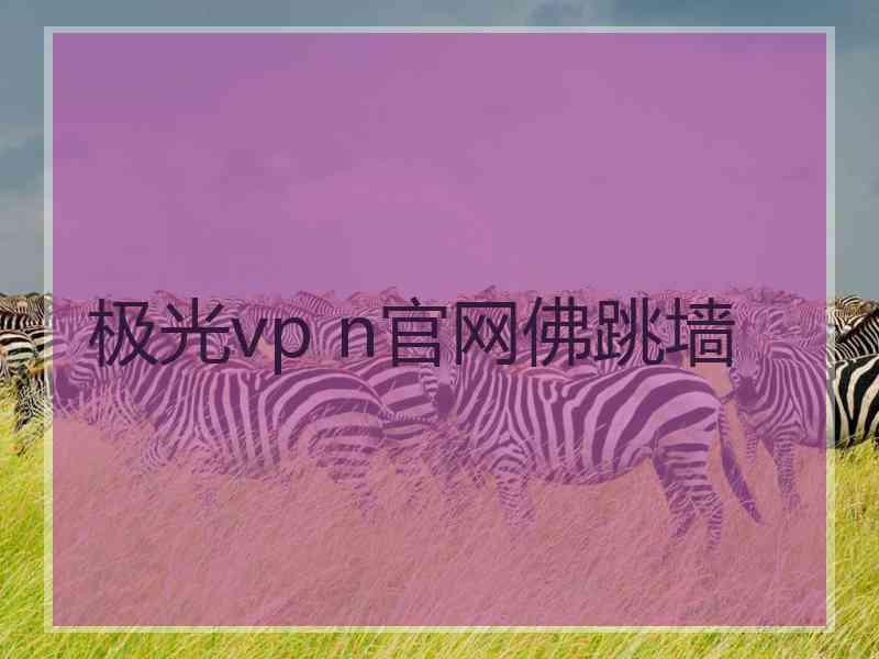 极光vp n官网佛跳墙