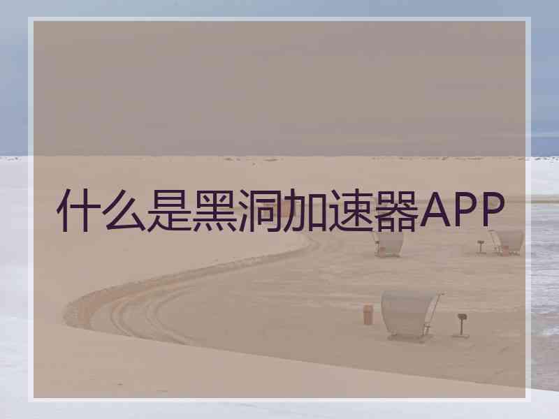 什么是黑洞加速器APP