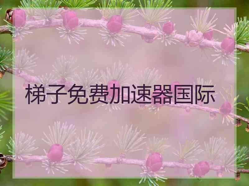 梯子免费加速器国际