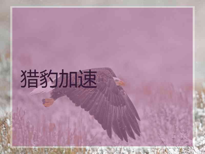 猎豹加速