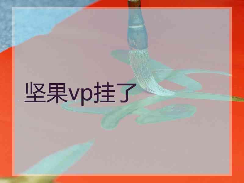 坚果vp挂了