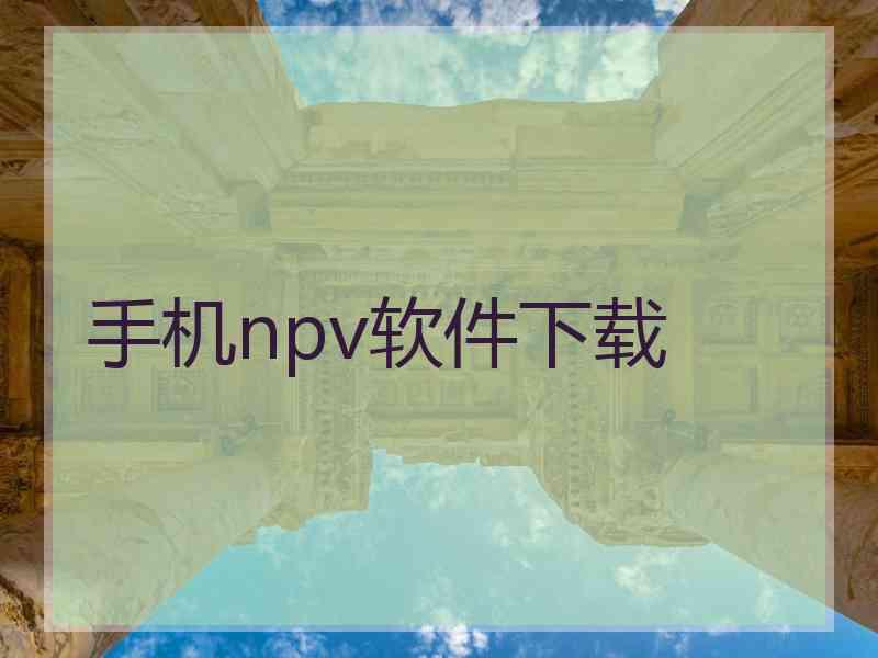 手机npv软件下载