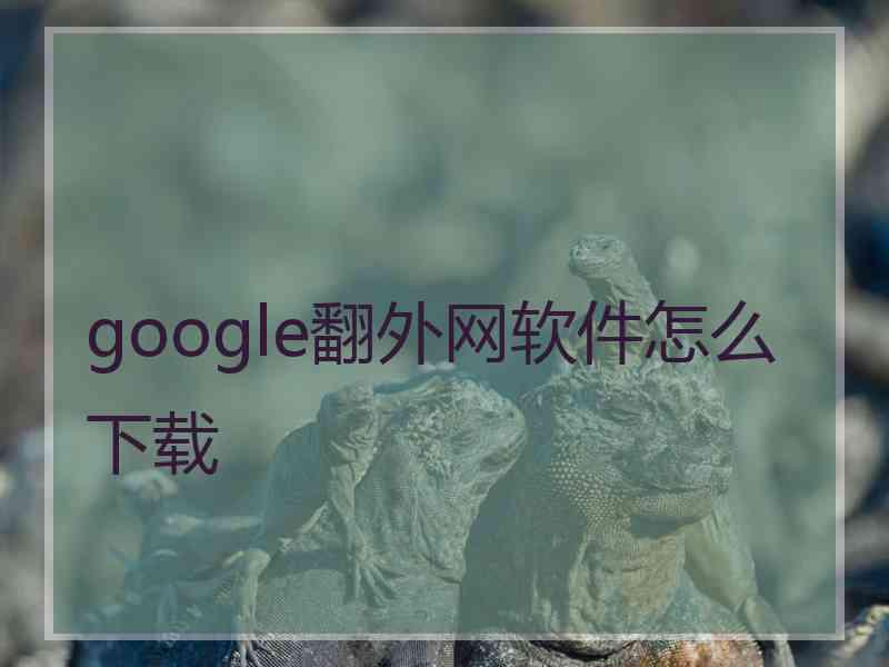 google翻外网软件怎么下载