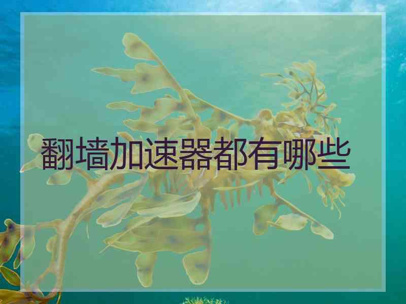翻墙加速器都有哪些
