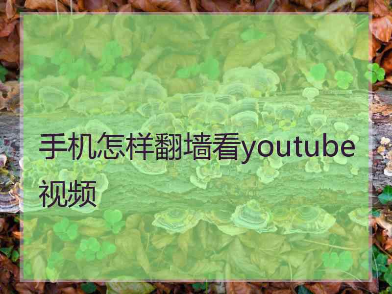 手机怎样翻墙看youtube视频