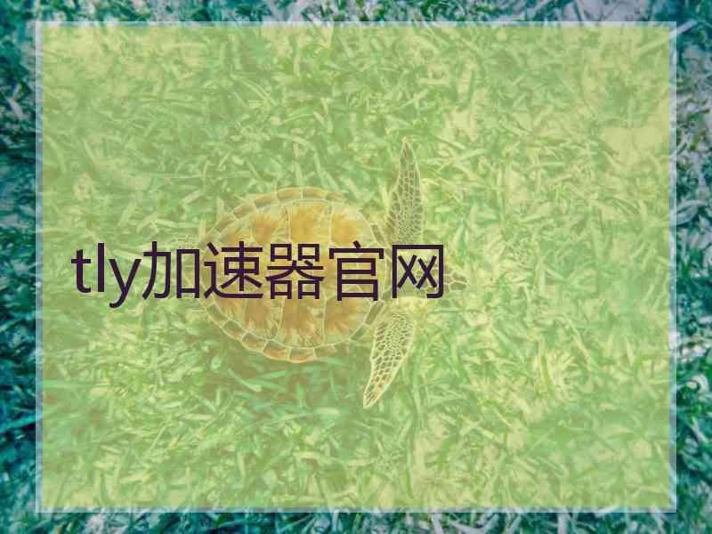 tly加速器官网