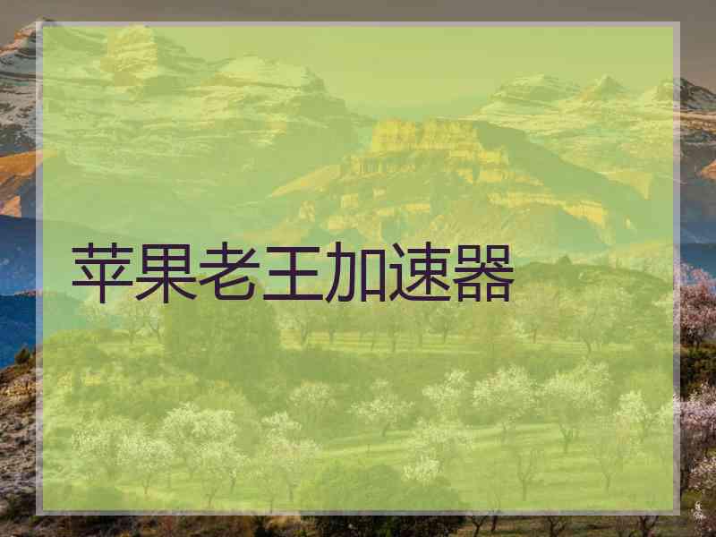 苹果老王加速器