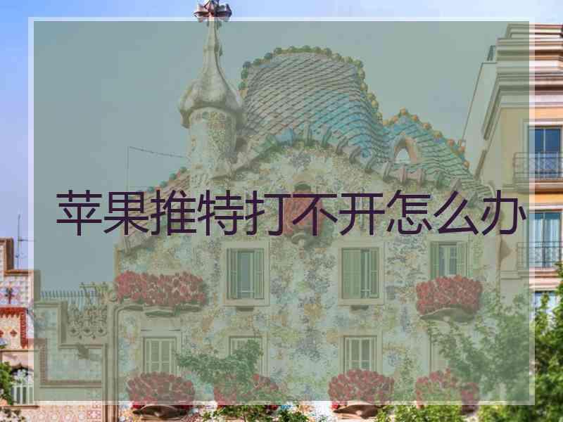 苹果推特打不开怎么办