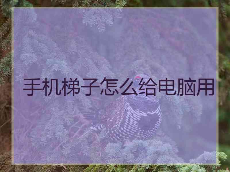 手机梯子怎么给电脑用