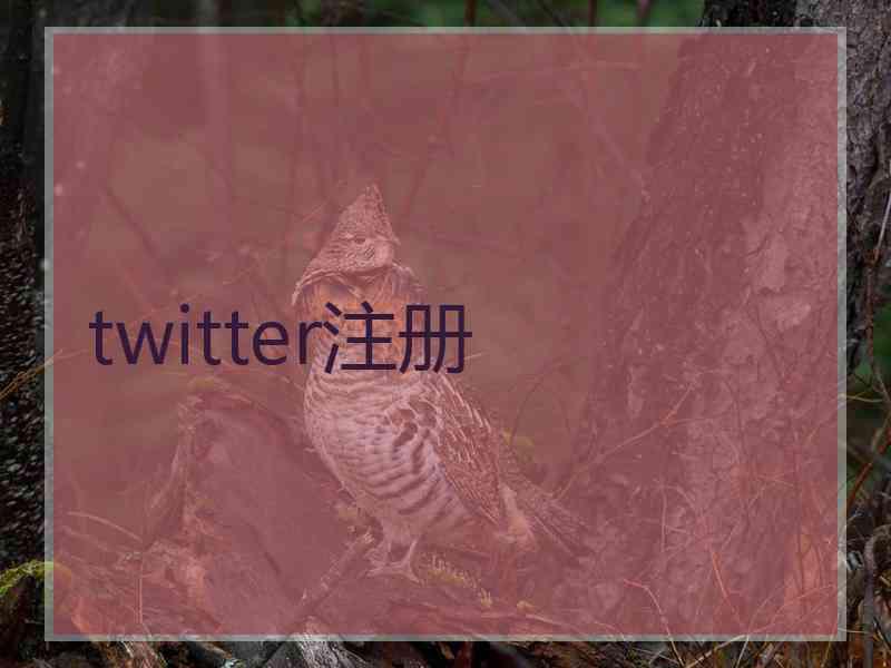 twitter注册