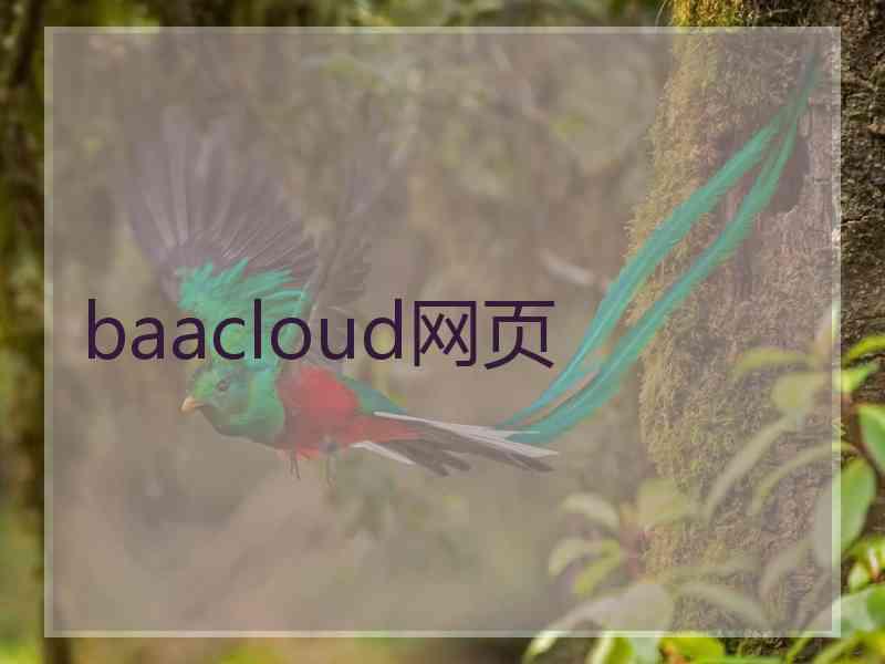 baacloud网页