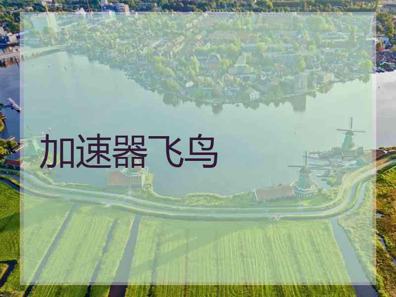 加速器飞鸟