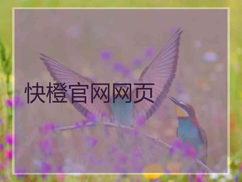 快橙官网网页