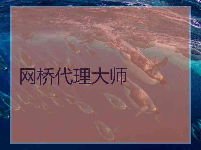 网桥代理大师