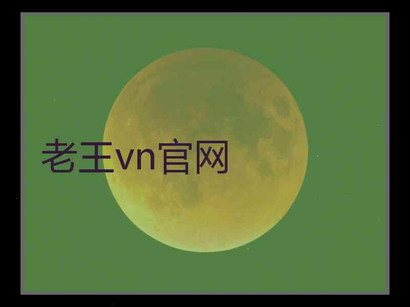 老王vn官网