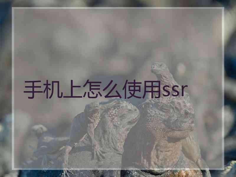 手机上怎么使用ssr