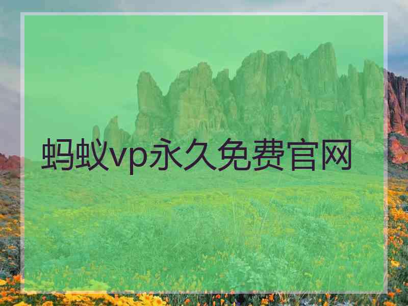 蚂蚁vp永久免费官网