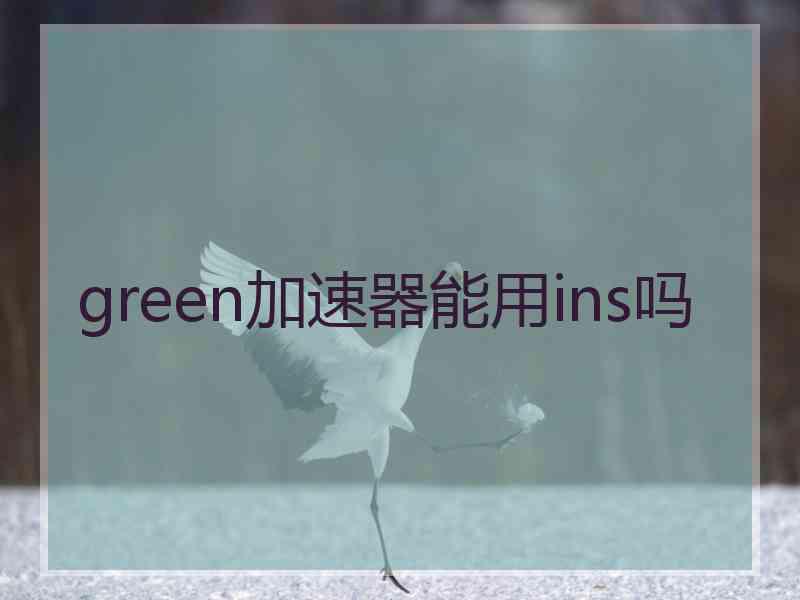 green加速器能用ins吗