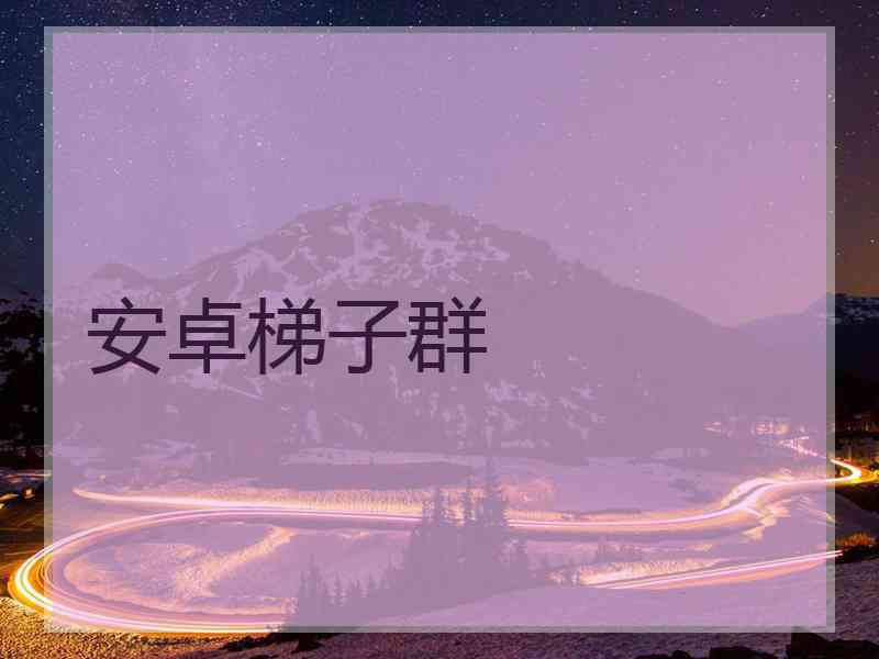 安卓梯子群