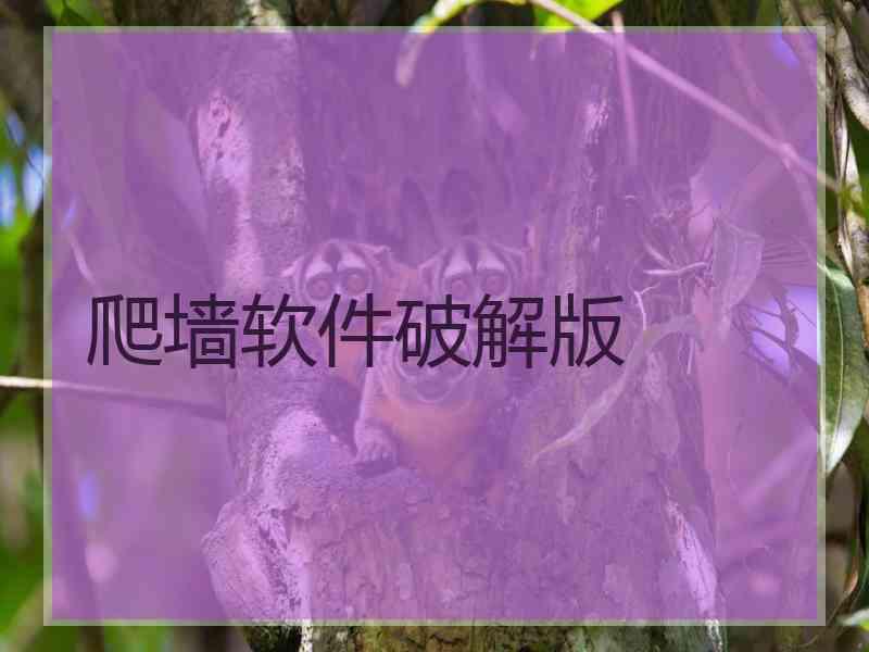 爬墙软件破解版