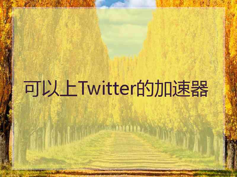 可以上Twitter的加速器