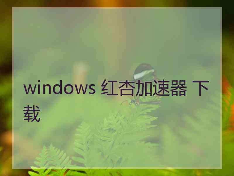 windows 红杏加速器 下载
