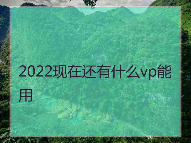 2022现在还有什么vp能用