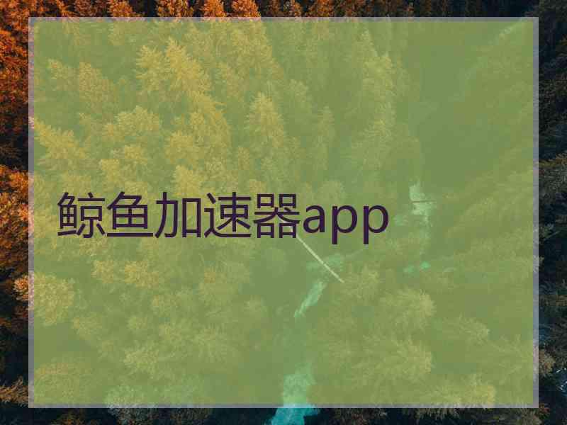 鲸鱼加速器app