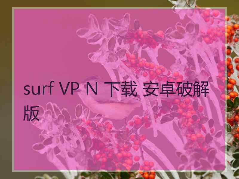 surf VP N 下载 安卓破解版