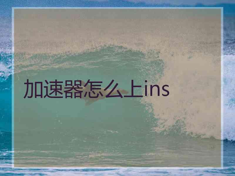 加速器怎么上ins