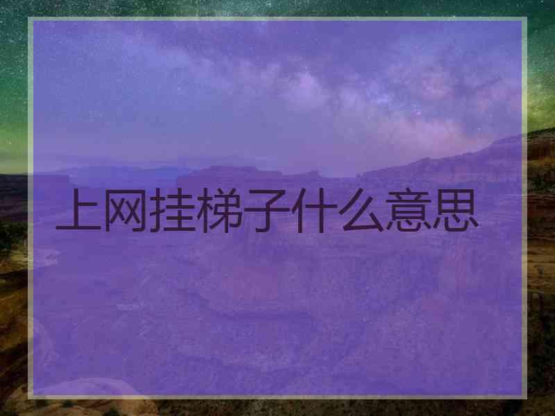 上网挂梯子什么意思