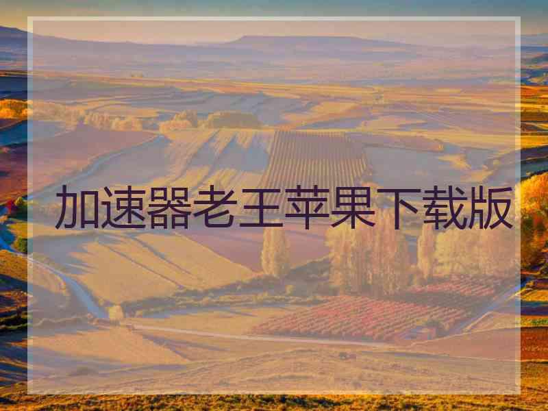 加速器老王苹果下载版