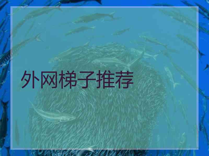 外网梯子推荐